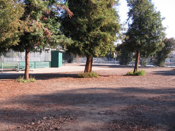 Walking route can go thru school grounds, north of Raggio Ave.