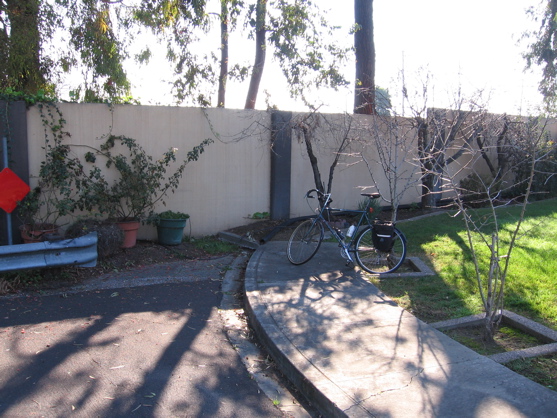 Street, Los Olivos Drive, was walled off and the name was changed to San Tomas Expressway, a 45 mph arterial road.