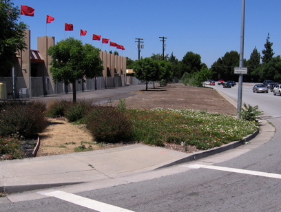 Stevens Creek, NW corner.